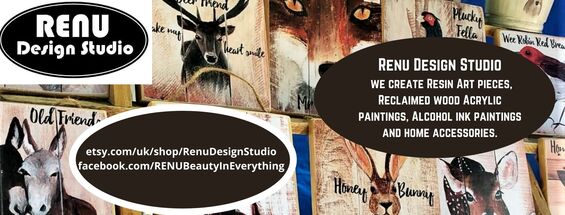Renu Design Studio Ad Picture
